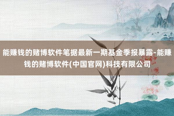 能赚钱的赌博软件笔据最新一期基金季报暴露-能赚钱的赌博软件(中国官网)科技有限公司