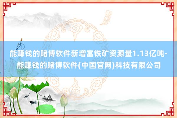 能赚钱的赌博软件新增富铁矿资源量1.13亿吨-能赚钱的赌博软件(中国官网)科技有限公司