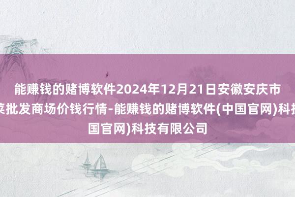 能赚钱的赌博软件2024年12月21日安徽安庆市龙狮桥蔬菜批发商场价钱行情-能赚钱的赌博软件(中国官网)科技有限公司