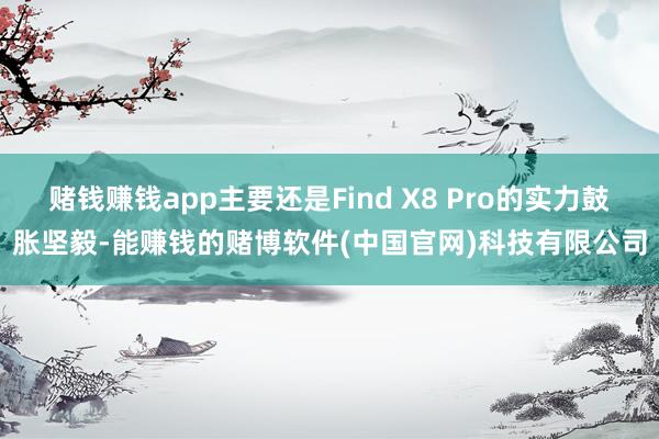 赌钱赚钱app主要还是Find X8 Pro的实力鼓胀坚毅-能赚钱的赌博软件(中国官网)科技有限公司
