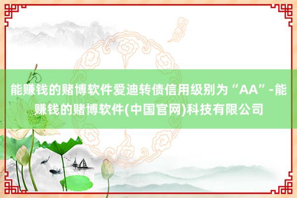 能赚钱的赌博软件爱迪转债信用级别为“AA”-能赚钱的赌博软件(中国官网)科技有限公司