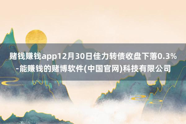 赌钱赚钱app12月30日佳力转债收盘下落0.3%-能赚钱的赌博软件(中国官网)科技有限公司