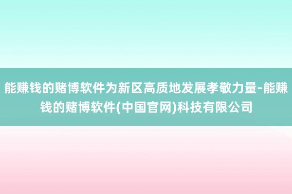 能赚钱的赌博软件为新区高质地发展孝敬力量-能赚钱的赌博软件(中国官网)科技有限公司
