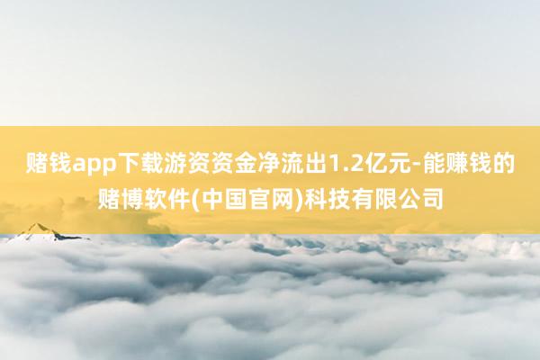 赌钱app下载游资资金净流出1.2亿元-能赚钱的赌博软件(中国官网)科技有限公司