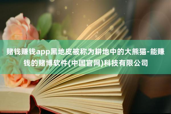 赌钱赚钱app黑地皮被称为耕地中的大熊猫-能赚钱的赌博软件(中国官网)科技有限公司