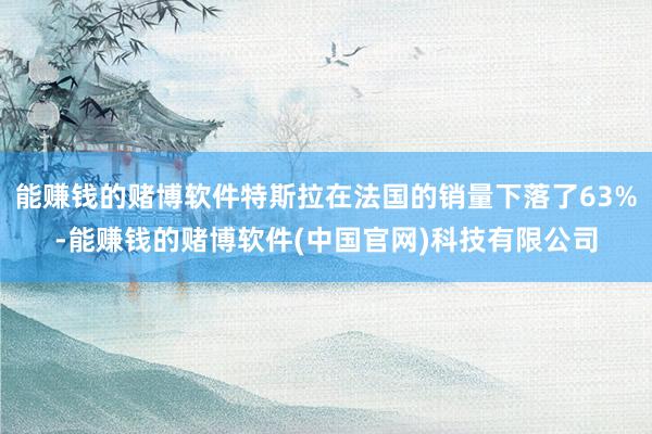 能赚钱的赌博软件特斯拉在法国的销量下落了63%-能赚钱的赌博软件(中国官网)科技有限公司