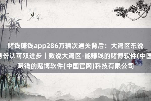 赌钱赚钱app286万辆次通关背后：大湾区东说念主的糊口半径与身份认可双进步｜数说大湾区-能赚钱的赌博软件(中国官网)科技有限公司