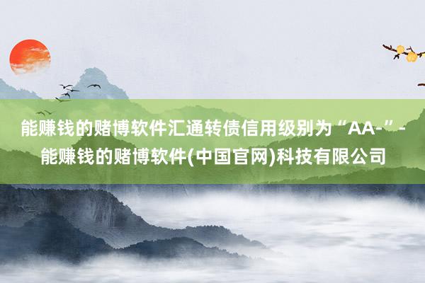 能赚钱的赌博软件汇通转债信用级别为“AA-”-能赚钱的赌博软件(中国官网)科技有限公司