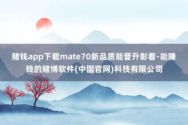 赌钱app下载mate70新品质能晋升彰着-能赚钱的赌博软件(中国官网)科技有限公司