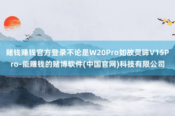 赌钱赚钱官方登录不论是W20Pro如故灵眸V15Pro-能赚钱的赌博软件(中国官网)科技有限公司