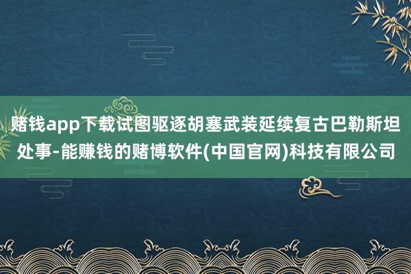 赌钱app下载试图驱逐胡塞武装延续复古巴勒斯坦处事-能赚钱的赌博软件(中国官网)科技有限公司