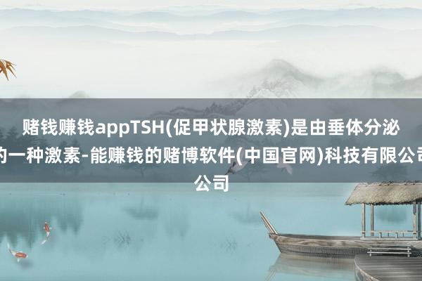 赌钱赚钱appTSH(促甲状腺激素)是由垂体分泌的一种激素-能赚钱的赌博软件(中国官网)科技有限公司