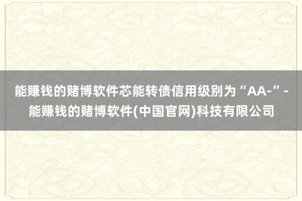能赚钱的赌博软件芯能转债信用级别为“AA-”-能赚钱的赌博软件(中国官网)科技有限公司