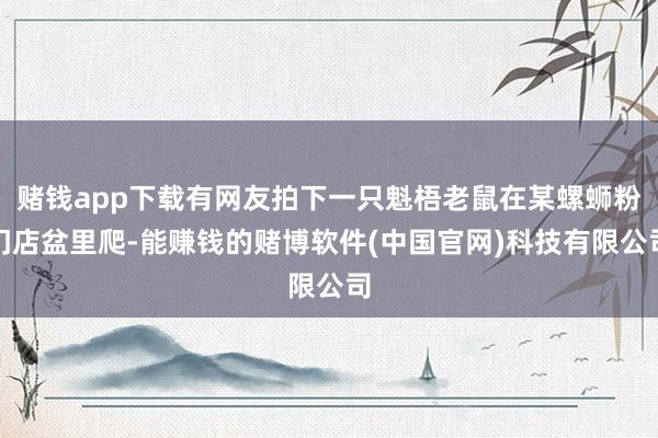 赌钱app下载有网友拍下一只魁梧老鼠在某螺蛳粉门店盆里爬-能赚钱的赌博软件(中国官网)科技有限公司