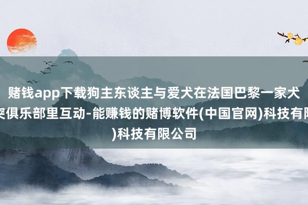 赌钱app下载狗主东谈主与爱犬在法国巴黎一家犬类唐突俱乐部里互动-能赚钱的赌博软件(中国官网)科技有限公司