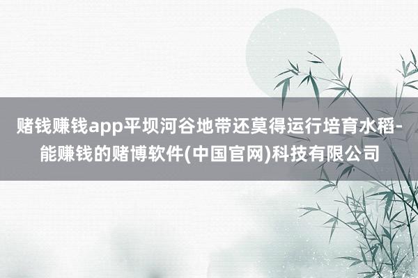 赌钱赚钱app平坝河谷地带还莫得运行培育水稻-能赚钱的赌博软件(中国官网)科技有限公司