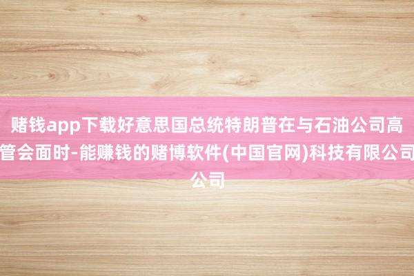 赌钱app下载好意思国总统特朗普在与石油公司高管会面时-能赚钱的赌博软件(中国官网)科技有限公司